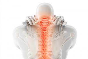 Spinal back pain skeleton graphic